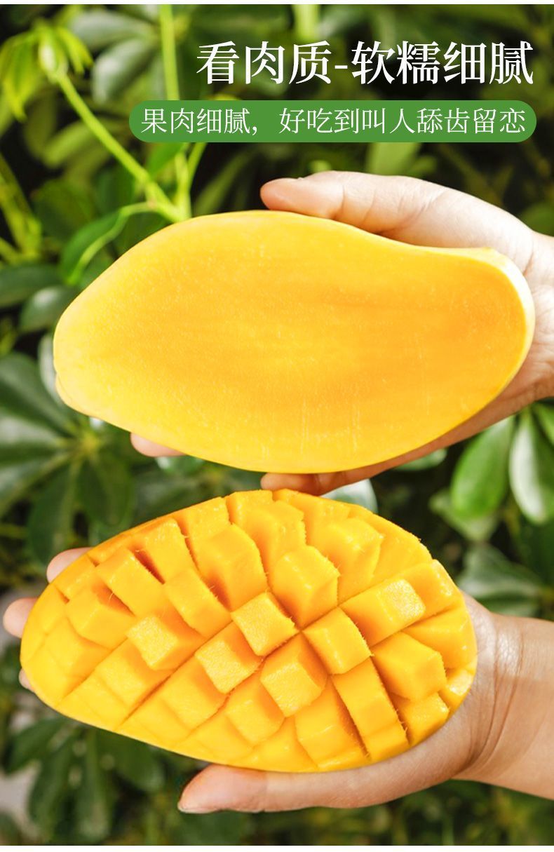 越南大青芒新鲜当季水果甜多汁一整箱批发价全国包邮