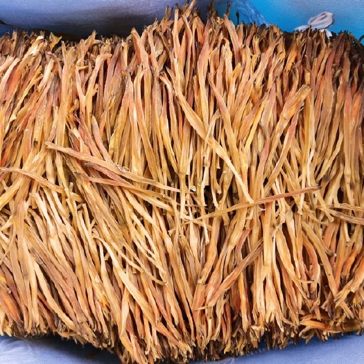 新黄花菜，产地直销批发零售直条菜