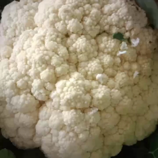 通许县产地直供，有机花菜，个头均匀，价格美丽