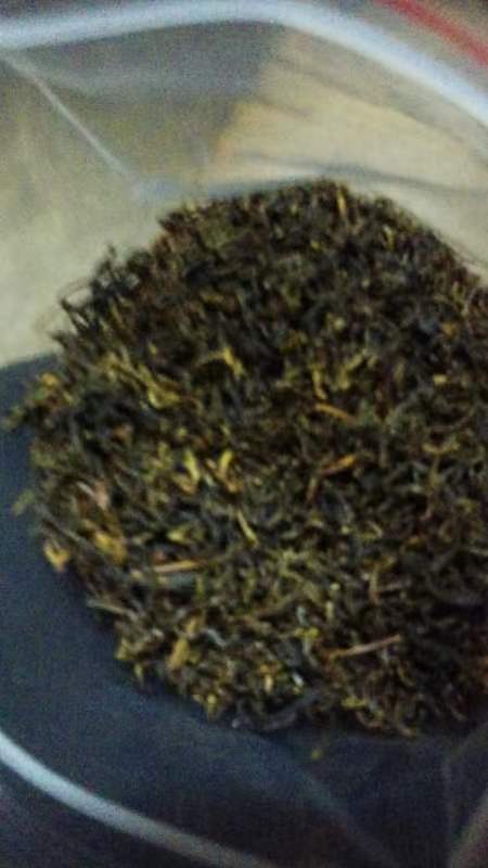 崇义县野生苦丁茶叶，天然绿色茶叶