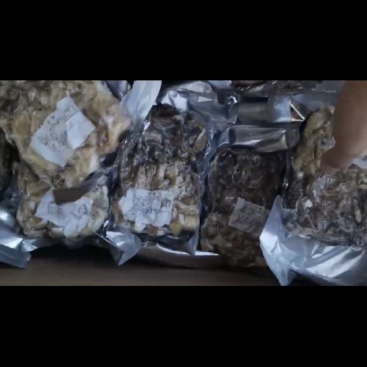喀喇沁旗锡盟草地熟羊杂