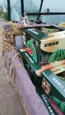 夏邑县看质量说价格
