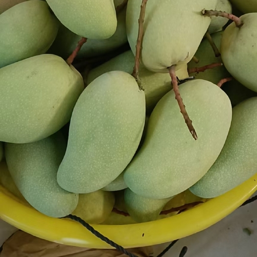 乐东县金黄芒，个头大，建议送礼