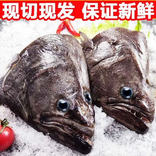 连云港碟鱼头新鲜冷冻比目鱼头鲽鱼头片鱼头格陵兰鱼头批发海鲜水产