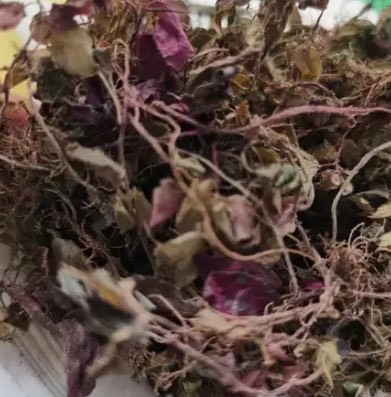 荔波县风柜斗草有50斤需要联系
