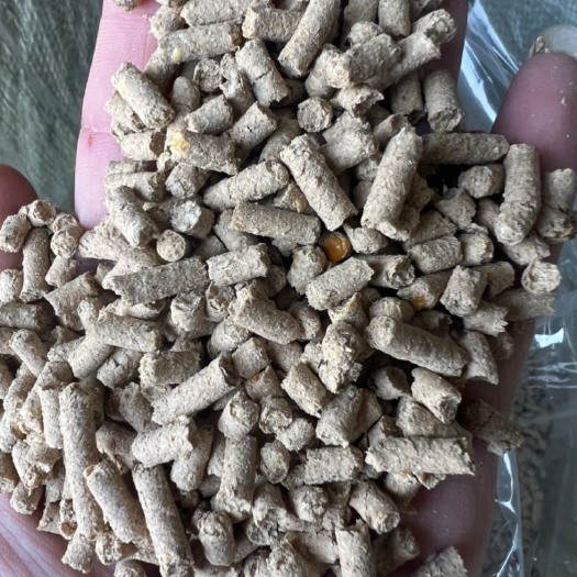 揭西县餐厨颗粒饲料