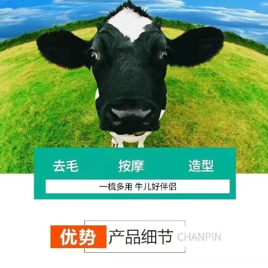 沧县牛毛梳刷子兽用不锈钢刮牛毛梳毛耙清洁刷牛马羊专用挠毛