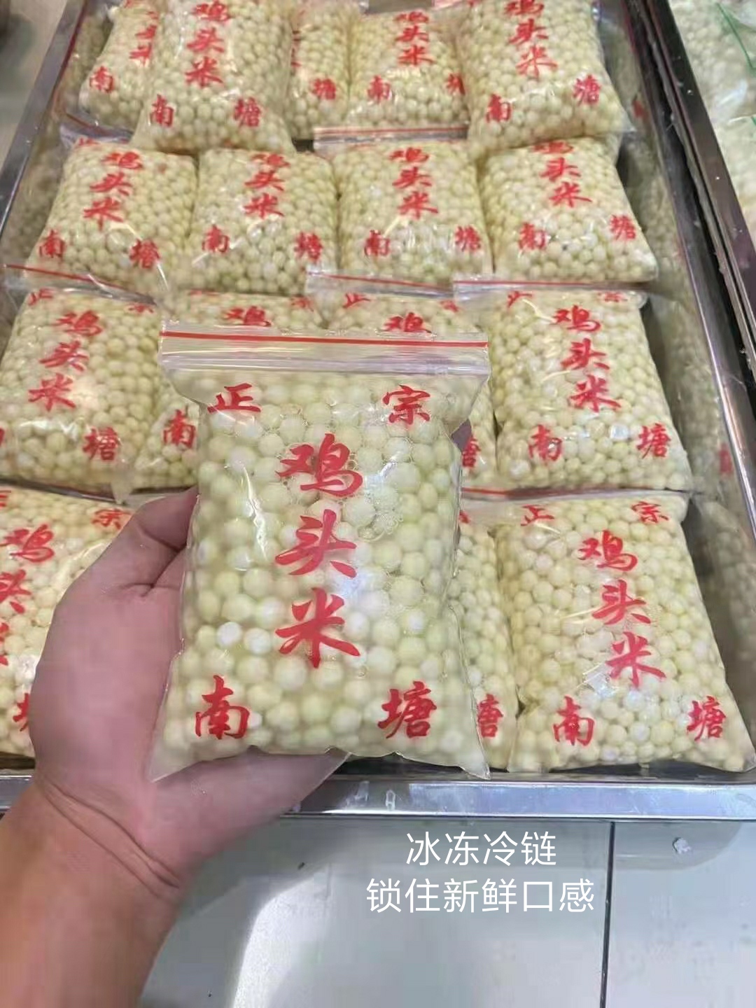 鸡头米 芡实 水米 新鲜苏州苏芡农家基地自产