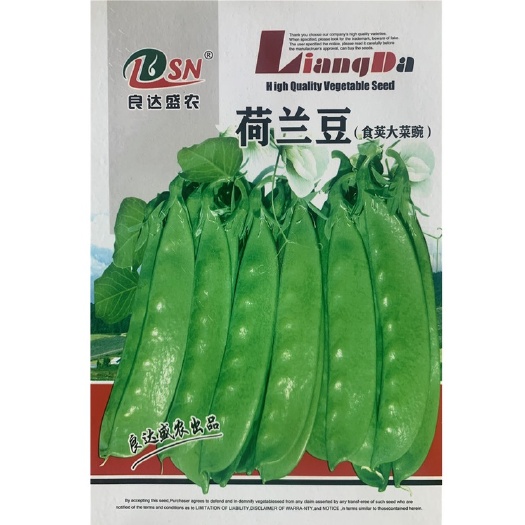 荷兰豆种子食荚大菜碗豆种籽甜脆大荚荷兰豆蔬菜种子籽