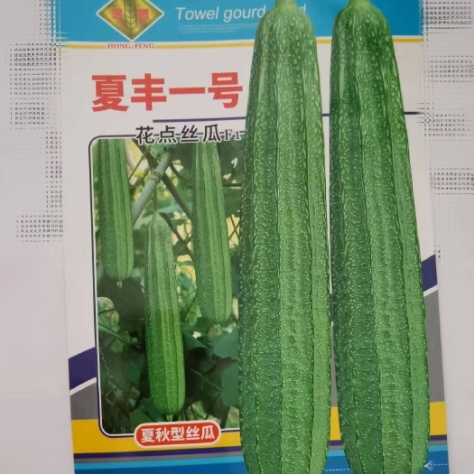 丝瓜种子：夏丰一号耐热夏秋种植；大花点泰国6号F1杂交一代