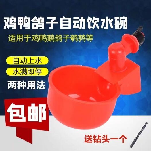 沧县鸡鸭鹅家禽自动喂水器喂鸡水桶鸭鹅自动饮水器配件鸽子饮水碗