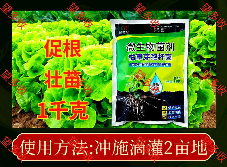 菌肥400億枯草芽孢桿菌微生物菌劑礦源黃腐酸鉀