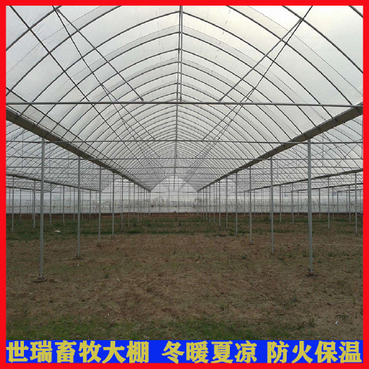 宁津县西瓜大棚搭建蔬菜种植大棚生产大棚钢管镀锌管六分四分