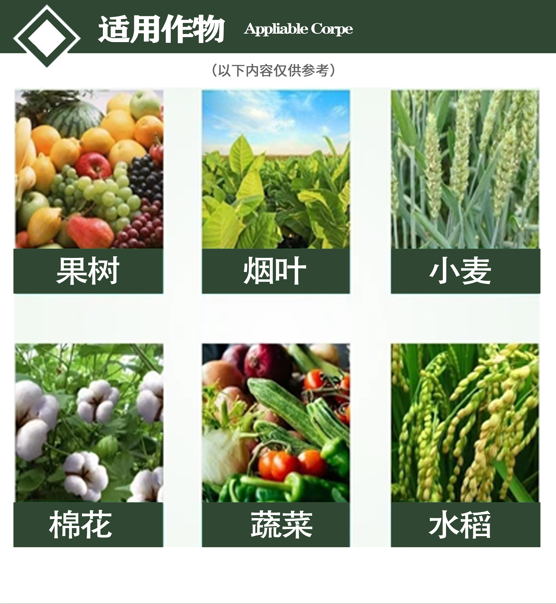 5%阿维菌素稻纵卷叶螟杀虫剂小菜蛾菜青虫蚜虫潜叶蛾农药杀虫剂