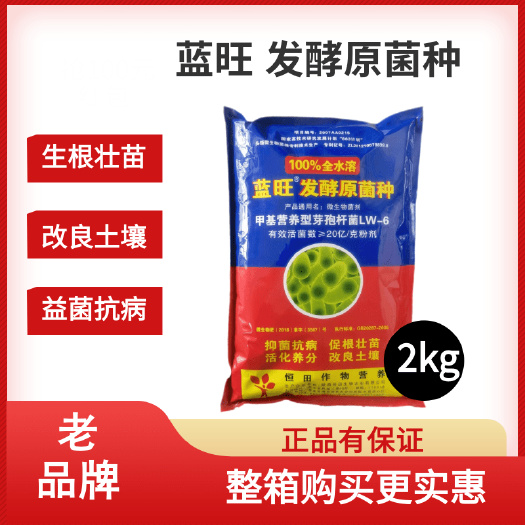 潍坊恒田蓝旺发酵原菌种微生物菌肥全水溶抗根腐重茬大姜姜瘟病茎基腐