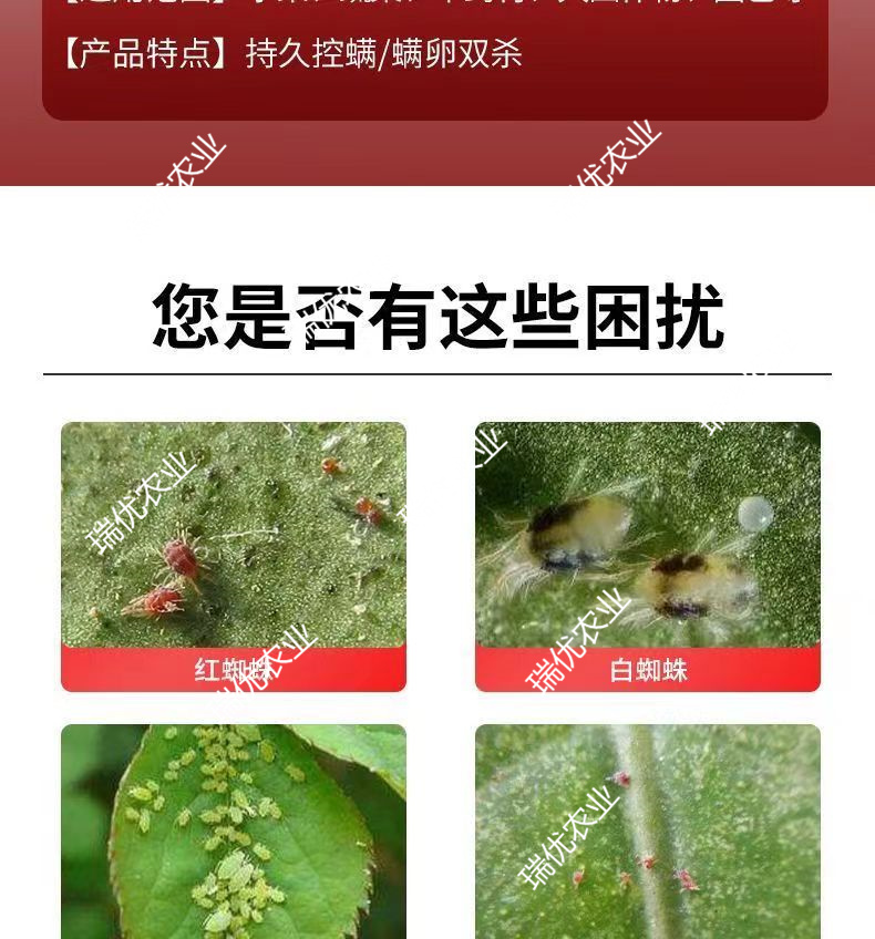 25%阿维螺螨酯奥满 柑橘树红蜘蛛黄蜘蛛抗性锈璧虱杀卵杀螨剂