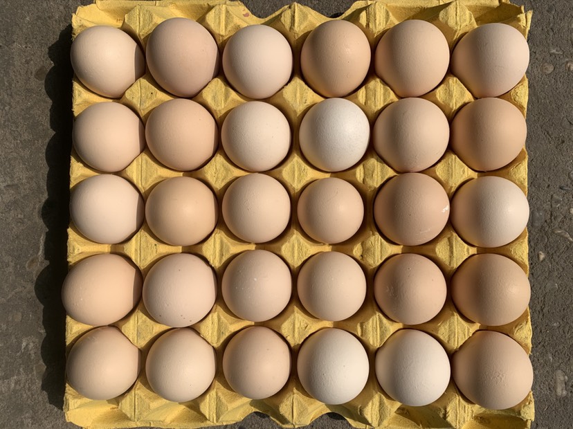 大量出售精品普粉、红心，保供平台