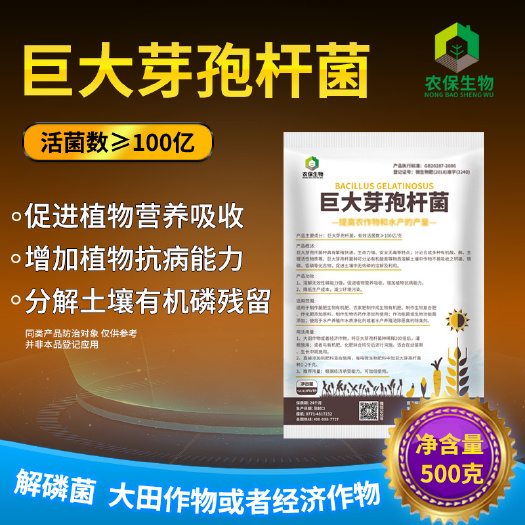 100亿/克巨大芽孢杆菌解磷解钾有效提高土壤肥效增产解磷菌