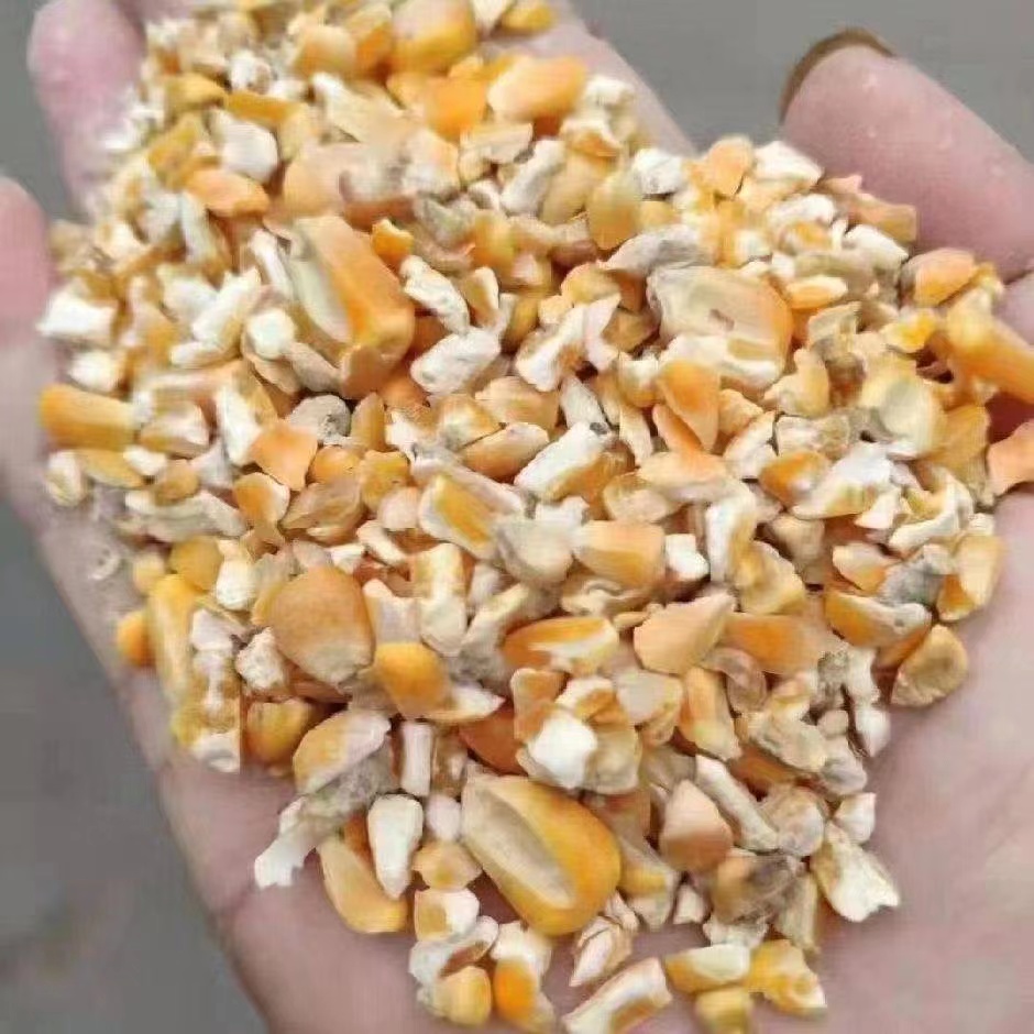 碎玉米，净粮碎玉米，无土无沙无霉变