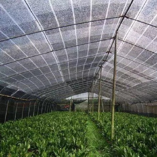 泊头市黑色遮阳网 农用大棚圆丝扁丝 内外遮阳网 农用遮荫网
