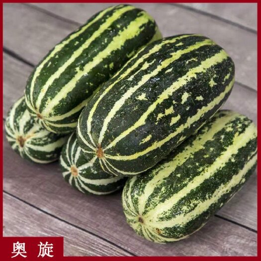 运城博洋九号甜瓜
