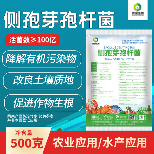 侧孢芽孢杆菌有效降解土壤重金属超标解决土壤板结微生物菌