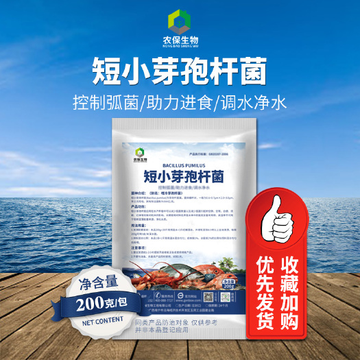 南宁1000亿/克短小芽孢杆菌水产养殖低温环境污水处理
