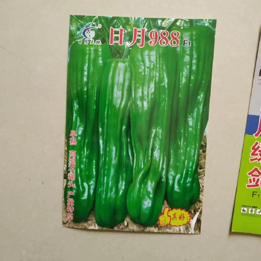 兰陵县薄皮辣椒芜湖椒杂交二代 大果型皱皱皮辣椒 大黑王 皮薄辣