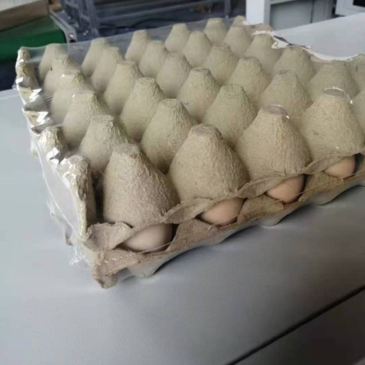 合肥鲜鸡蛋，蛋托覆膜装