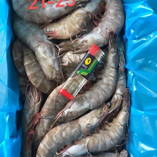 正大泰国南美白对虾