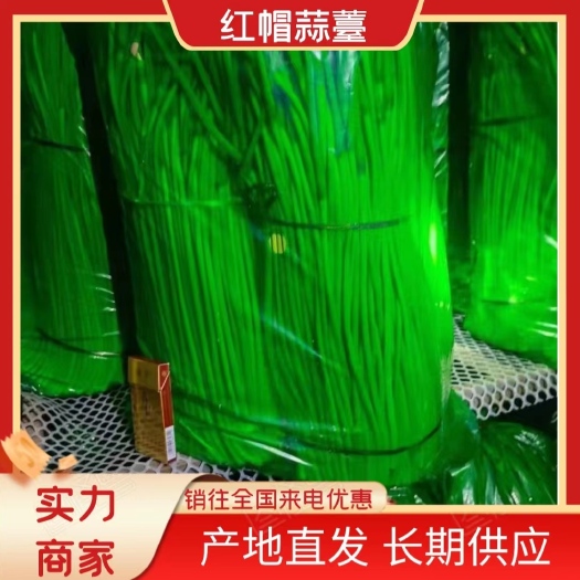 中牟县红帽蒜苔，精加工！常年供应！对接全国（市场）（电商）