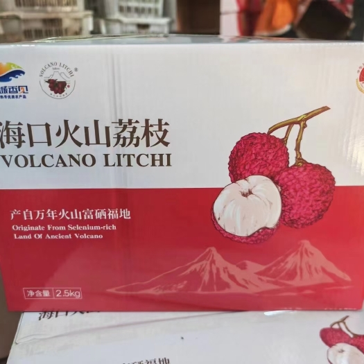海口海南火山口荔枝王