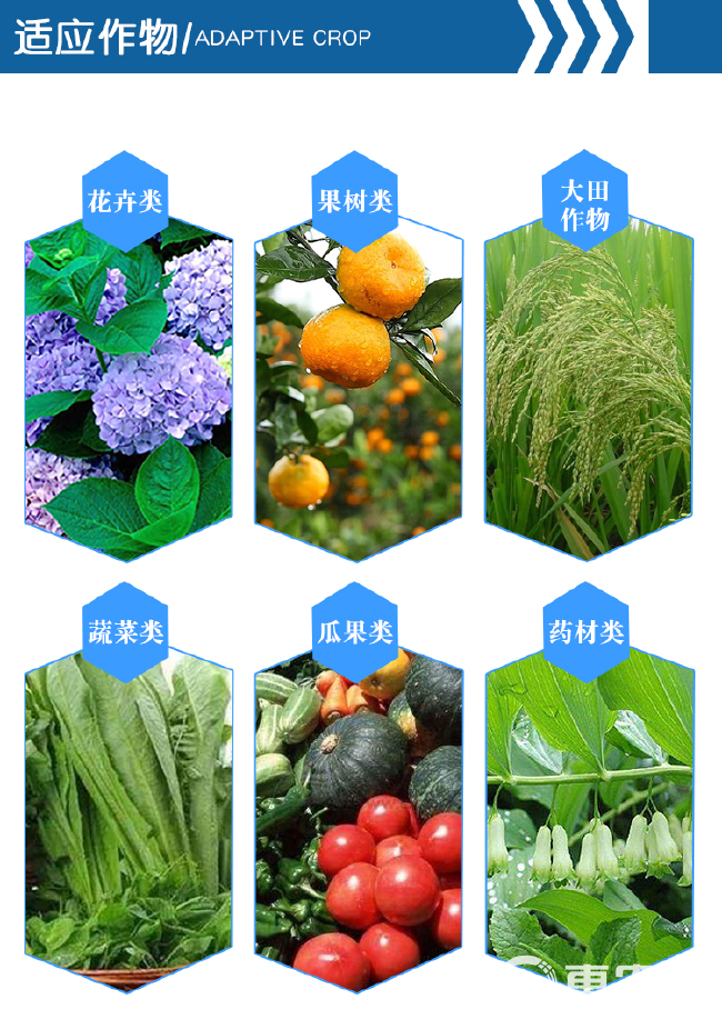 糖醇钙镁锌硼铁中量元素水溶肥料果树保花保果预防裂果靓果增产