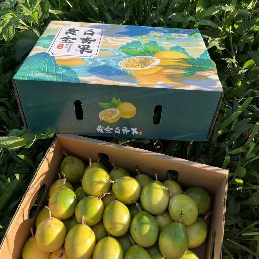 南宁黄金百香果钦密9号