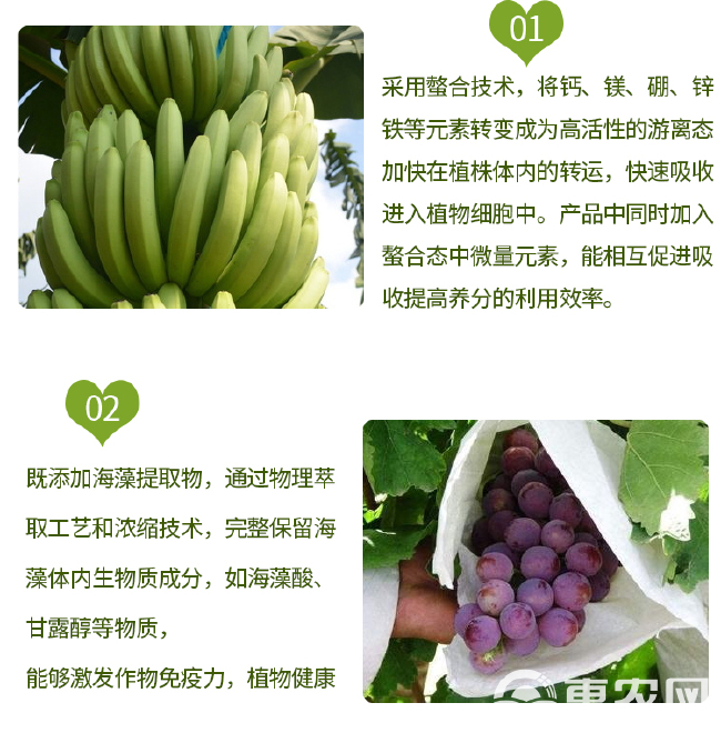 糖醇钙镁锌硼铁中量元素水溶肥料果树保花保果预防裂果靓果增产