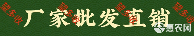 叶面肥  鱼蛋白 活化根系 1000毫升 5公斤