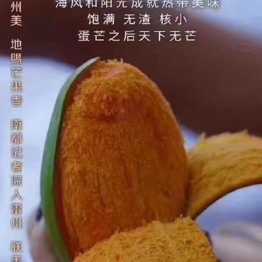 雷州市湛江雷州鸡蛋芒果