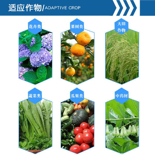 糖醇钙镁锌硼铁中量元素水溶肥料果树保花保果预防裂果靓果增产