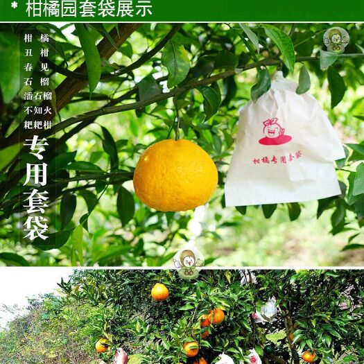义乌市柑橘专用套袋丑柑春见耙耙柑不知火橘子脐橙红美人爱媛果纸袋包邮