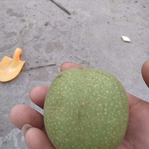 盐源县青皮核桃