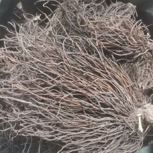 平山县威灵仙 中药材 根茎类 平山县优选品质 速发