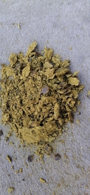 博野县棉粕