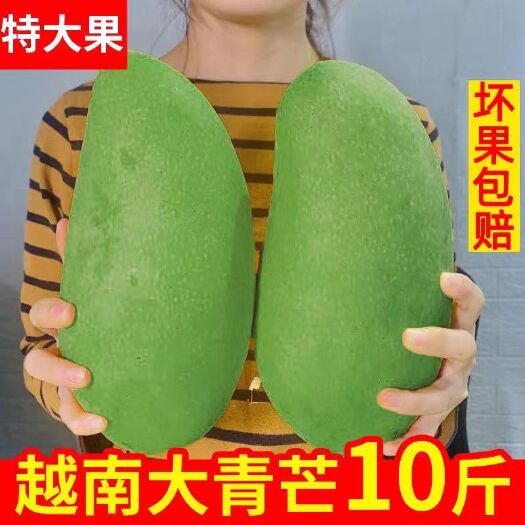 杭州【10斤】大青芒玉芒新鲜当季孕妇水果一整箱批发价甜多汁现摘