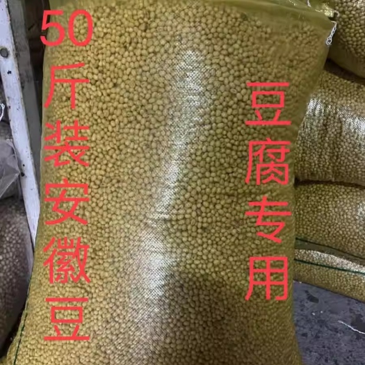 昆明安徽豆  东北豆