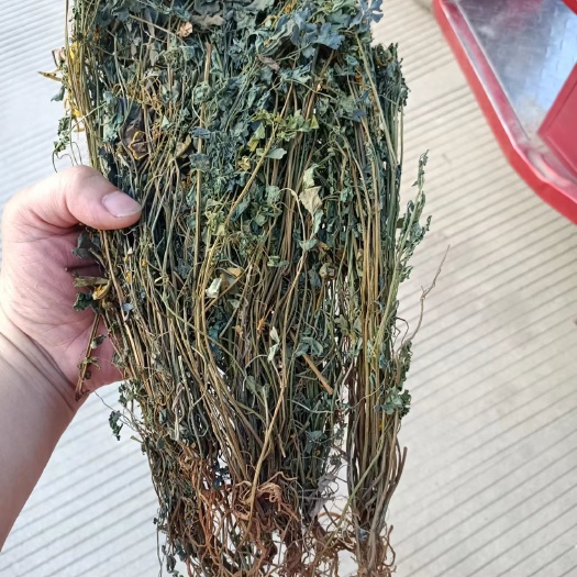 东兰县岩黄莲干货