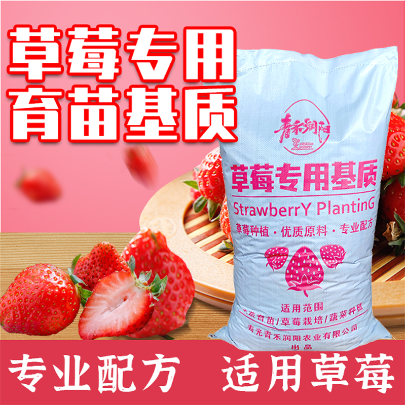 寿光市草莓育苗基质  草莓母苗 子苗专用  草莓无土栽培