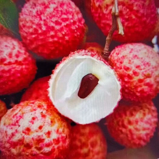 防城港代卖妃子笑荔枝白糖罂荔枝