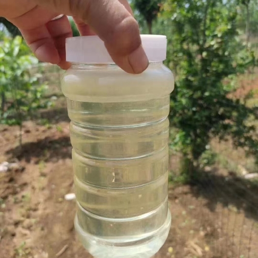 长葛市【农家自产】新鲜槐花蜜500g原蜜蜂蜜成熟洋槐蜜