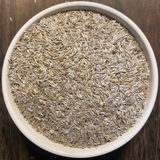 亳州中药生菜子 精选生菜籽