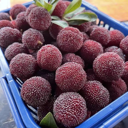 仙居荸荠杨梅